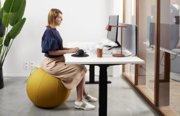 LR Ergodome bureau 098 2025 04 16 134850 bkgx